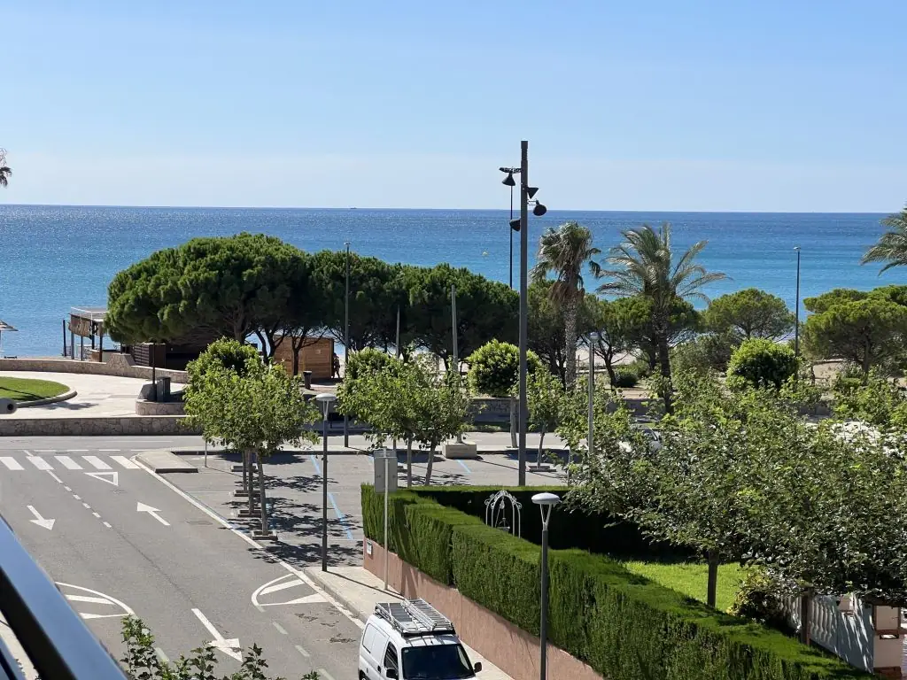 Calle con palmeras que baja al mar