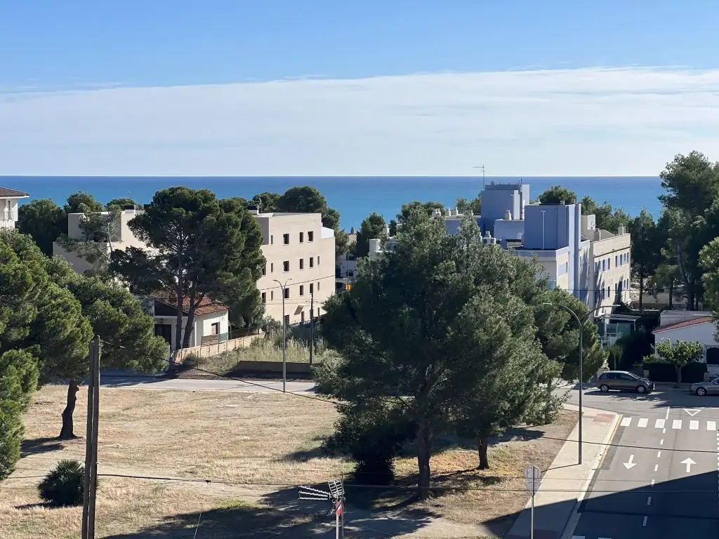Pinos y mar desde una terraza
